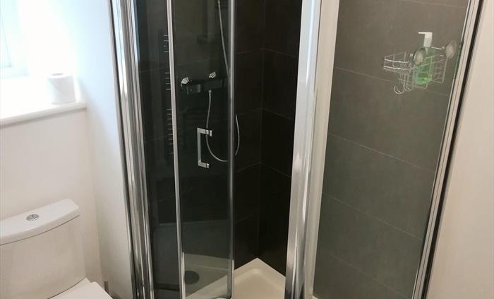 Room 4 - Shower Ensuite
